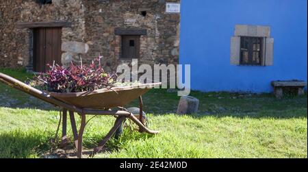 Ancienne barrow rouillée réutilisée comme jardinière sur la place du village de Granadilla. Ville médiévale évacuée en 1965, connue pour être réhabilitée. Extremadura, SP Banque D'Images