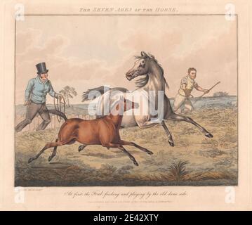 Henry Thomas Alken, 1785–1851, Britannique, ensemble de sept : les sept âges du cheval, 1825. Gravure douce à la main. Banque D'Images