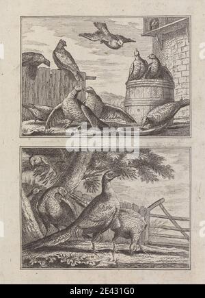 Imprimé par George Bickham, 1683/4â€"1758, British, Doves et Pheasants sur deux plaques sur une feuille pour «UN nouveau genre de livre de dessin... de divers types d'oiseaux tirés de la vie par M. Francis Barlow» 1731 (1 de 9), 1731. Gravure sur papier à la crème, moyen, lisse. Art animal , canon , oiseaux , cour , plat , colombes , manger , ferme , ferme , clôtures , voler , faisans , chant , arbres Banque D'Images