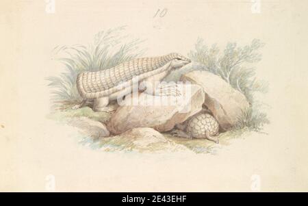 Charles Hamilton Smith, 1776â€"1859, Belge, Pink Fairy Armadillo, ca. 1837. Aquarelle, stylo et encre brune et graphite sur papier légèrement épais, légèrement texturé, crème, vélin. Art animal Banque D'Images