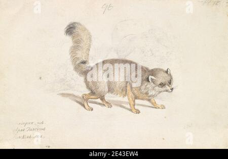 Charles Hamilton Smith, 1776â€"1859, belge, turc Dog-Fox, ca. 1837. Aquarelle, stylo et encre brune, encre grise et graphite sur papier vélin légèrement épais, lisse, blanc. Art animal Banque D'Images