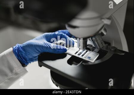 Crop anonyme scientifique dans des gants de protection mettant l'échantillon sous microscope tout en effectuant des recherches chimiques en laboratoire Banque D'Images