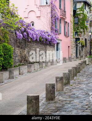 Glycine le long d'un mur sur la rue de l'Abreuvoir à Montmartre, Paris, France Banque D'Images