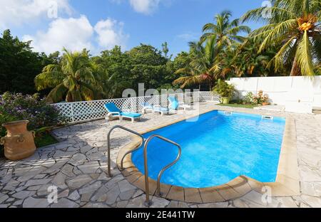 Chaises de plage ou lit de piscine autour de la piscine avec des cocotiers en arrière-plan, île de Martinique. Banque D'Images