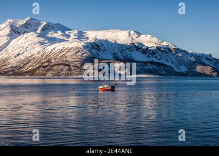 Vue majestueuse du bateau de pêche flottant sur l'eau de mer calme Par beau temps, sur fond de montagnes enneigées en Norvège en hiver Banque D'Images