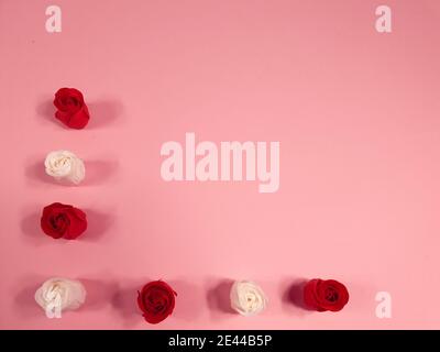 Roses rouges et blanches sur fond rose, décoration pour la Saint-Valentin et journée internationale des femmes. Banque D'Images