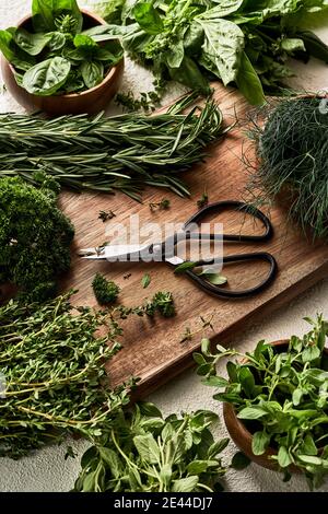 Du dessus des herbes vertes assorties disposées sur la coupe de bois planche avec ciseaux sur la table Banque D'Images