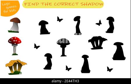 prenez une ombre pour les champignons, chanterelle, mouche agarique, boletus Illustration de Vecteur