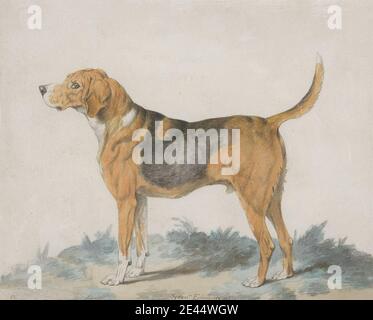 Sydenham Teast Edwards, 1768â€“1819, British, Hound debout: Profil, face à gauche, 1795. Graphite et aquarelle. Art animal , chien (animal) , profil Banque D'Images