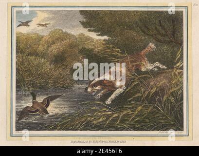 Imprimé par Samuel Howitt, 1756â€"1822, British, The Water Spaniel, 1812. Gravure avec coloration à la main à l'aquarelle sur du papier vélin moyen, légèrement texturé. Banque D'Images