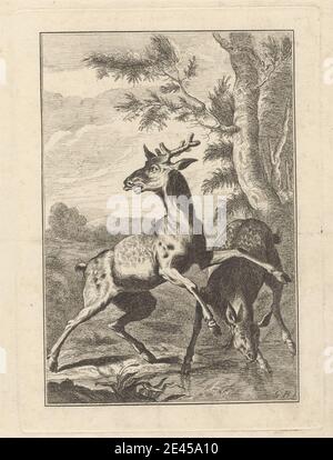 Imprimé par George Bickham, 1683/4â€"1758, British, Two Deer, a PL. Pour "UN nouveau livre de dessin... de bêtes dans diverses actions" (1 de 9), non daté. Gravure sur papier à la crème, moyen, lisse. Art animal , buck , nuages , cerf , doe , peur , forêt , collines , plantes , étang , arbres Banque D'Images