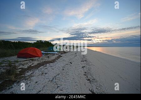 Everglades National Park, Floride 01-14-21 Camping sur la plage à Middle Cape sable dans l'arrière-pays des Everglades. Banque D'Images