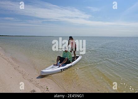 Everglades National Park, Floride 01-14-21 Homme et fille pagayez sur un stand-up paddle à terre tout en campant sur la plage de Middle Cape sable. Banque D'Images