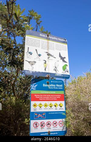 Bangalley dirigez-vous vers Avalon Beach sur les plages du nord de Sydney, en Nouvelle-Galles du Sud, en Australie Banque D'Images