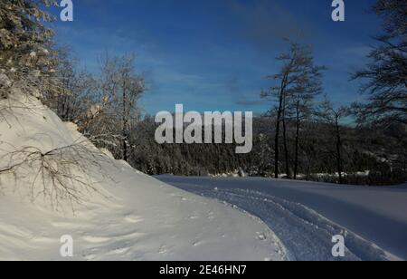 Un bel hiver dans les Beskids de Silésie. Le sentier sur la Malinowska Skala Malinowska Skala - un pic tropical dans la crête principale de la Barania Gora Banque D'Images