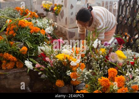 Un vendeur mexicain Marigold s'est arrangeant pour vendre des fleurs le jour du Les morts Banque D'Images