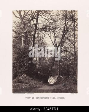 Alfred Rosling, 1802 environ 1880, British, View in Betchworth Park, Surrey, 1860. Impression d'albumine de collodion humide négatif sur papier fin, lisse, crème. Paysage , arbres. Betchworth , Angleterre , Surrey , Royaume-Uni Banque D'Images