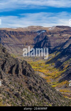 Vue sur les grandes gorges indiennes sculptées dans les glaciers sur Steens Mountain, Oregon, États-Unis Banque D'Images