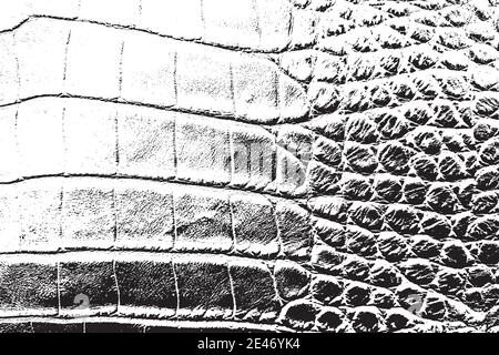 Texture de la superposition de la peau Illustration de Vecteur