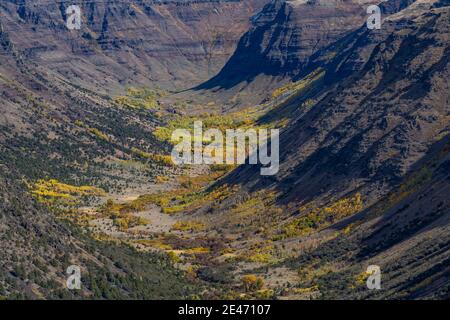 Vue sur les grandes gorges indiennes sculptées dans les glaciers sur Steens Mountain, Oregon, États-Unis Banque D'Images