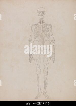 George Stubbs, 1724–1806, British, Human Figure, Anterior View (Outline figure), 1795 à 1806. Graphite sur papier vélin crème modérément épais, légèrement texturé. Étude anatomique , anatomie , étude de figure , avant , homme , squelette Banque D'Images