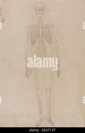 George Stubbs, 1724–1806, britannique, squelette humain, vue antérieure, 1795 à 1806. Encre avec des touches de graphite sur papier vélin moyen, légèrement texturé, crème. Étude anatomique , anatomie , étude de figure , avant , homme , squelette Banque D'Images