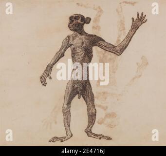 George Stubbs, 1724–1806, British, Monkey Standing, Anterior View, 1795 à 1806. Stylo à l'encre de Galle de fer, et de graphite; verso: Tache d'encre sur papier de verre mince, légèrement texturé, crème posée sur crème, moyen, légèrement texturé, papier cousu. Étude anatomique , anatomie , étude de figure , avant , debout , étude (travail visuel) Banque D'Images