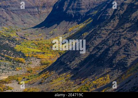 Vue sur les grandes gorges indiennes sculptées dans les glaciers sur Steens Mountain, Oregon, États-Unis Banque D'Images