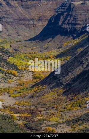 Vue sur les grandes gorges indiennes sculptées dans les glaciers sur Steens Mountain, Oregon, États-Unis Banque D'Images