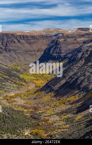 Vue sur les grandes gorges indiennes sculptées dans les glaciers sur Steens Mountain, Oregon, États-Unis Banque D'Images