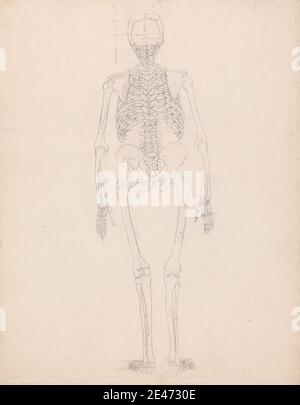 George Stubbs, 1724–1806, britannique, squelette humain, vue postérieure, 1795 à 1806. Graphite sur papier de vélin légèrement épais et légèrement texturé avec des traces de platemarks. Étude anatomique , anatomie , dos , étude de figure , homme , squelette , colonne vertébrale Banque D'Images