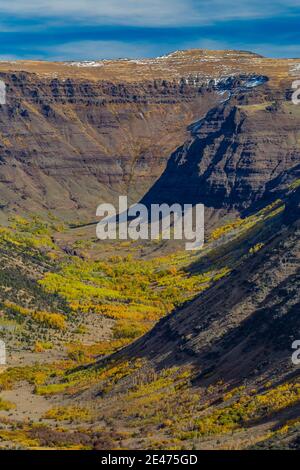 Vue sur les grandes gorges indiennes sculptées dans les glaciers sur Steens Mountain, Oregon, États-Unis Banque D'Images