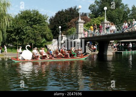 Un bateau de cygne sur le lagon près du pont à pied au jardin public, lors d'une journée d'été à Boston, Massachusetts, États-Unis. Banque D'Images