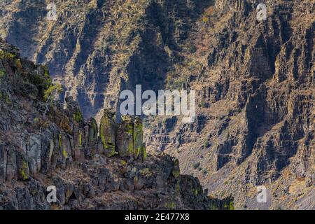 La gorge de Little Blitzen a été découpée dans Steens Mountain par un immense glacier, Oregon, États-Unis Banque D'Images