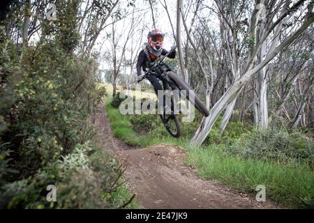 VTT, Thredbo, Nouvelle-Galles du Sud, Australie Banque D'Images