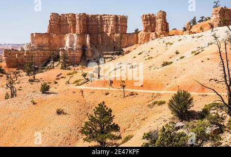 Une femme qui fait la randonnée sur le sentier Fairyland Loop Trail dans le parc national de Bryce Canyon, Utah, États-Unis. Banque D'Images