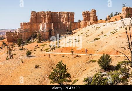 Une femme qui fait la randonnée sur le sentier Fairyland Loop Trail dans le parc national de Bryce Canyon, Utah, États-Unis. Banque D'Images