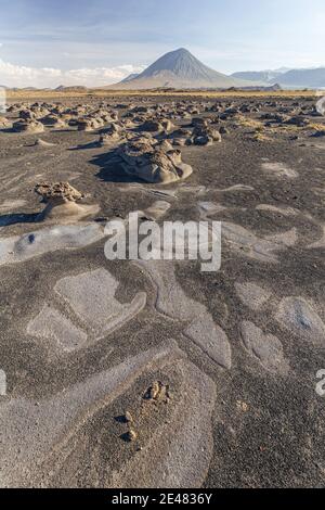 Mudflats près du lac Natron avec le volcan OL Doinyo Lengai en arrière-plan; Tanzanie Banque D'Images