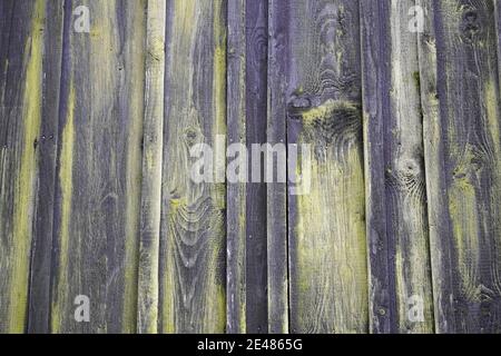 Vieux mur de bois avec des algues. Façade de maison en panneaux de bois Banque D'Images