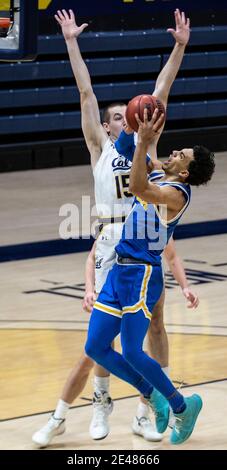 Hass Pavilion Berkeley Calif, États-Unis. 21 janvier 2021. CA U.S.A. UCLA Bruins garde Jules Bernard (1) conduit à la canopée pendant le match de basket-ball des hommes NCAA entre UCLA Bruins et la Californie Golden Bears 61-57 gagne au Hass Pavilion Berkeley Calif. Thurman James/CSM/Alay Live News Banque D'Images