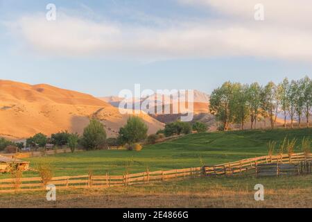 Campagne de saty Village au Kazakhstan à la périphérie du parc national des lacs Kolsai en fin de soirée d'été avec lumière dorée. Banque D'Images