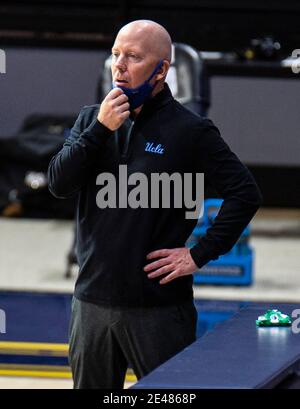 Hass Pavilion Berkeley Calif, États-Unis. 21 janvier 2021. CA U.S.A. l'entraîneur-chef de UCLA Bruins Mick Cronin regarde l'infraction de Bruins pendant le match de basket-ball des hommes NCAA entre UCLA Bruins et la victoire des Golden Bears de Californie 61-57 au Hass Pavilion Berkeley Calif. Thurman James/CSM/Alamy Live News Banque D'Images