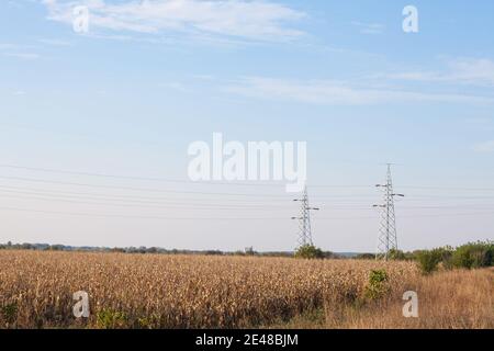 Tours de transmission, pylônes, tours de puissance, adaptés pour le transport et la distribution d'électricité haute tension, devant les champs de maïs dans un agricul Banque D'Images