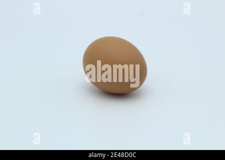 Un seul œuf de poule brun moucheté sur une plaine blanche arrière-plan sur le côté Banque D'Images