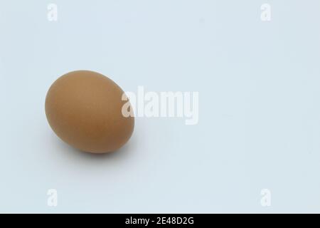 Un seul œuf de poule brun moucheté sur une plaine blanche arrière-plan sur le côté Banque D'Images