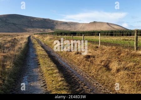 Irish Country Lane, près de Portmagee, comté de Kerry Banque D'Images