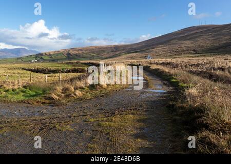 Irish Country Lane, près de Portmagee, comté de Kerry Banque D'Images