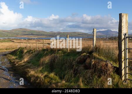 Irish Country Lane, près de Portmagee, comté de Kerry Banque D'Images