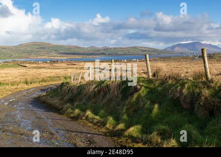 Irish Country Lane, près de Portmagee, comté de Kerry Banque D'Images