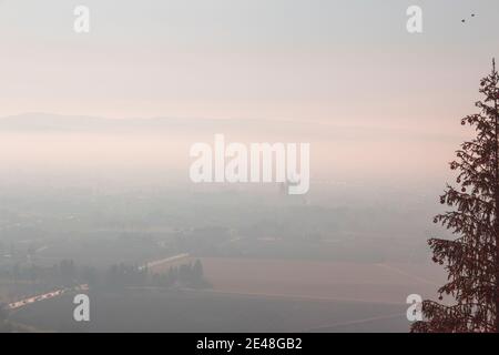 Sapin de Noël, vue panoramique brouillard vallée italienne à Assise - Ombrie au coucher du soleil avec montagnes et église ou basilique de Santa maria Banque D'Images